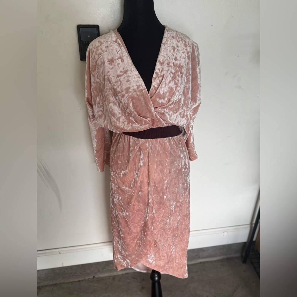Eva Mendes for New York & Company Pink Velvet Long Sleeve Dress - Picture 2 of 5